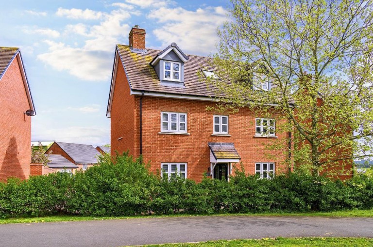 Palstra, Bedford