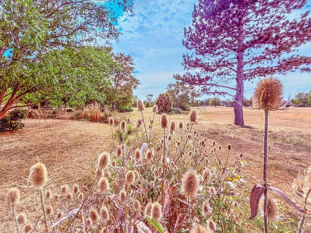 Images for Bowhill, Bedford